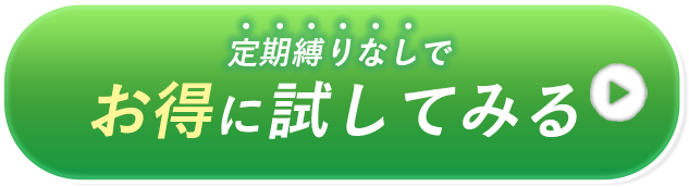 定期縛りなしでお得に試してみる